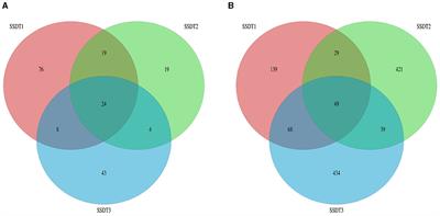 Insights into the airborne microorganisms in a Sichuan south-road dark tea pile fermentation plant during production